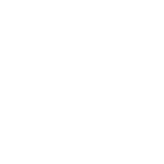Brinks