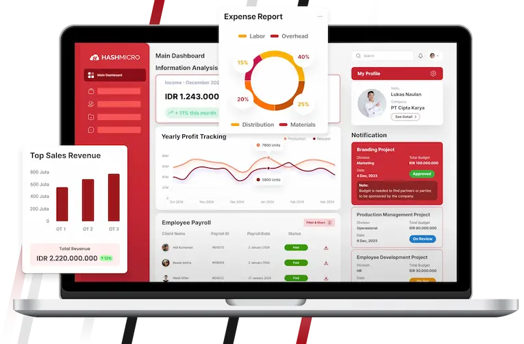 hashmicro vs infor