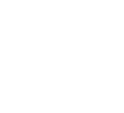 HR Talent Software