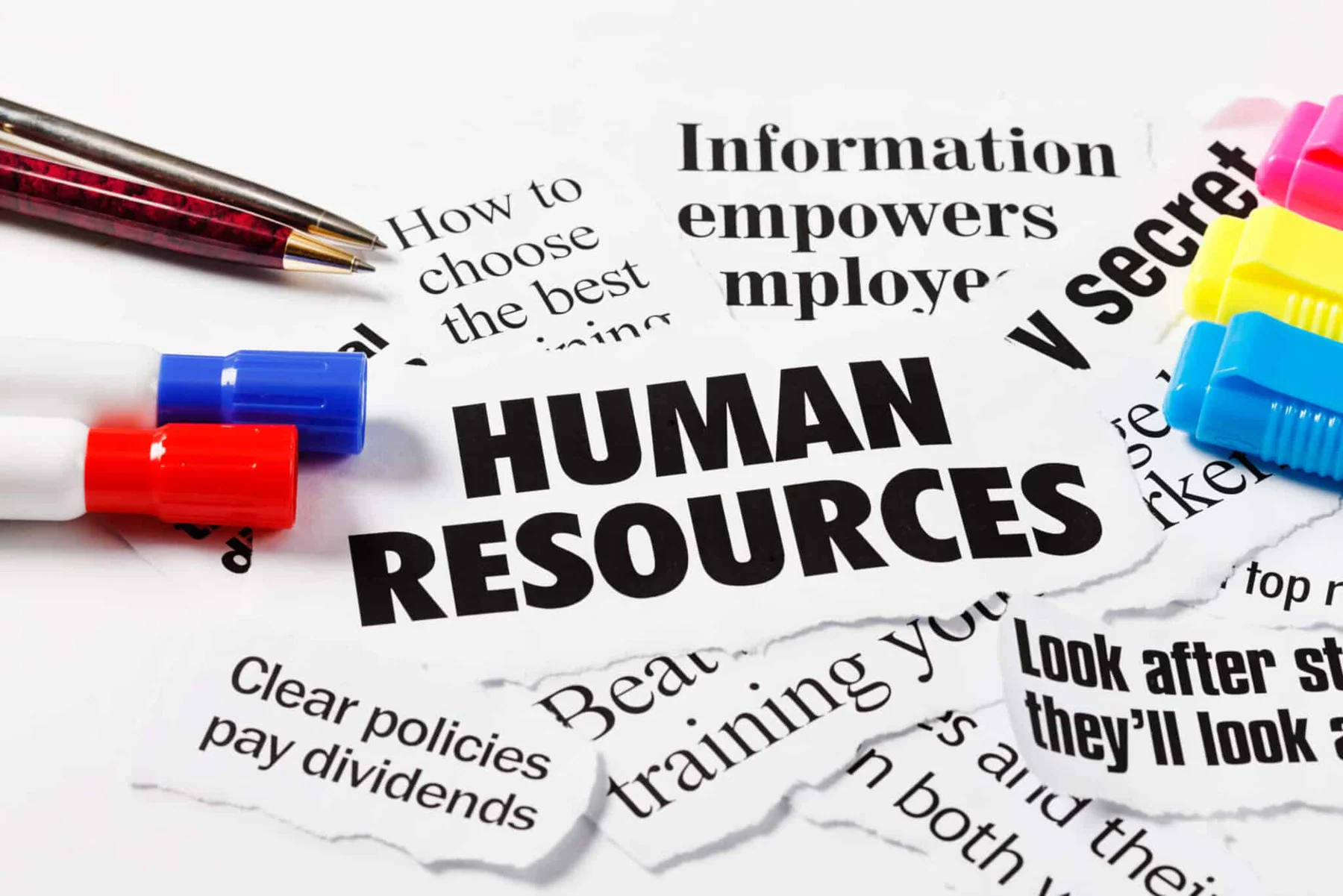 HR software system