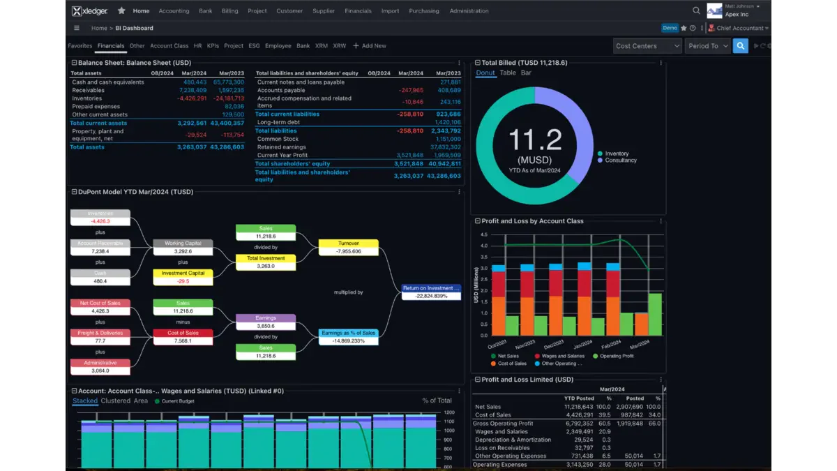 Xledger Financial Reporting System