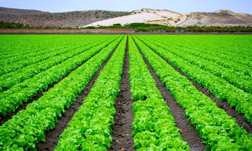 agricultur