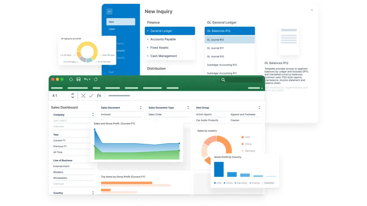 InsightSoftware financial reporting