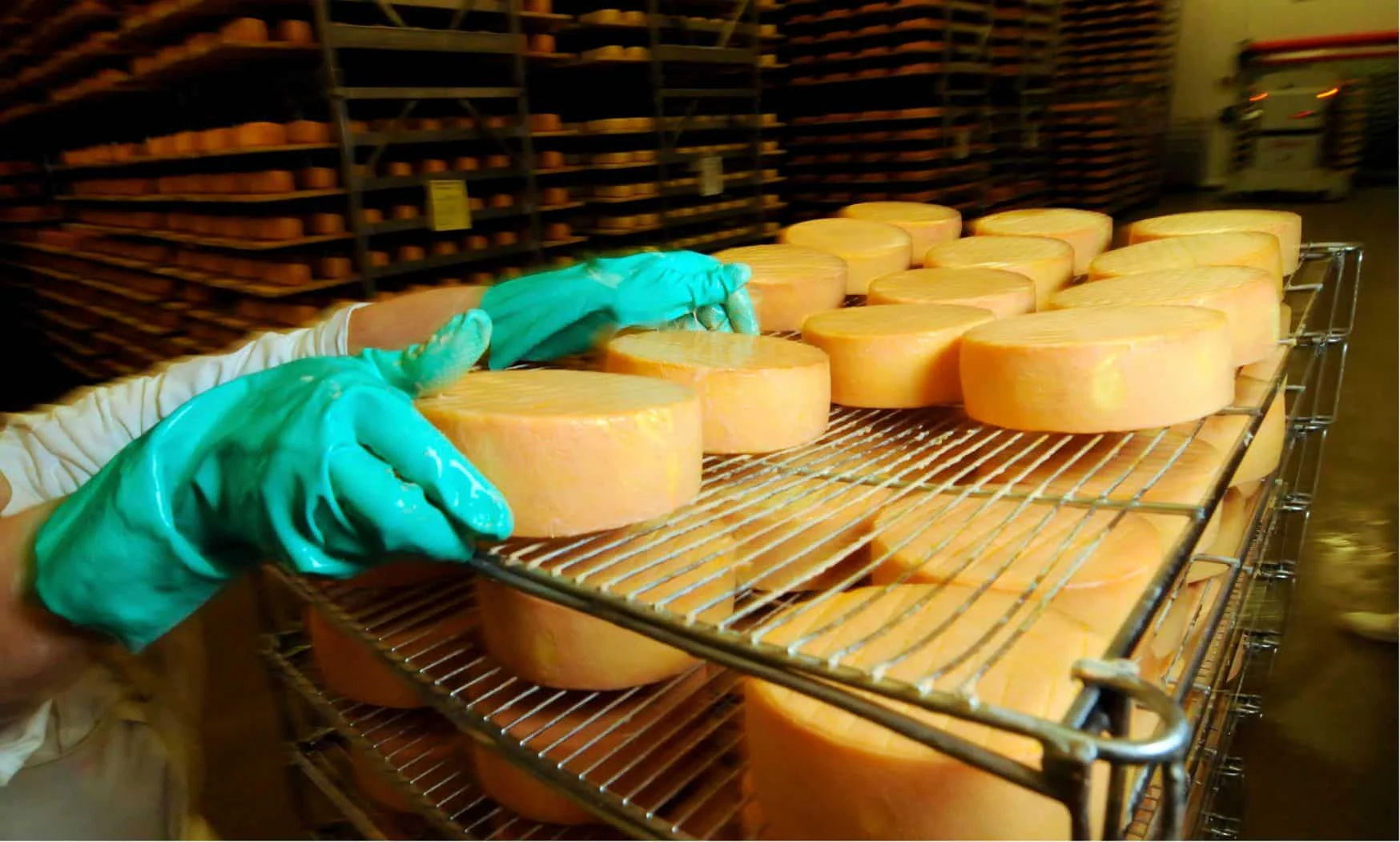 The Ways Improving your Food Production Business with Application