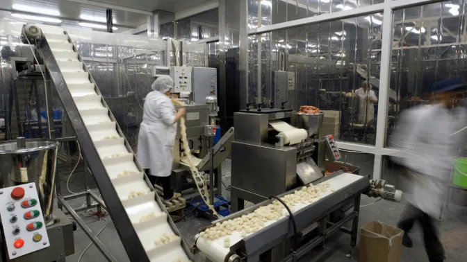 Tips to Boost Productivity of Food Production in Singapore