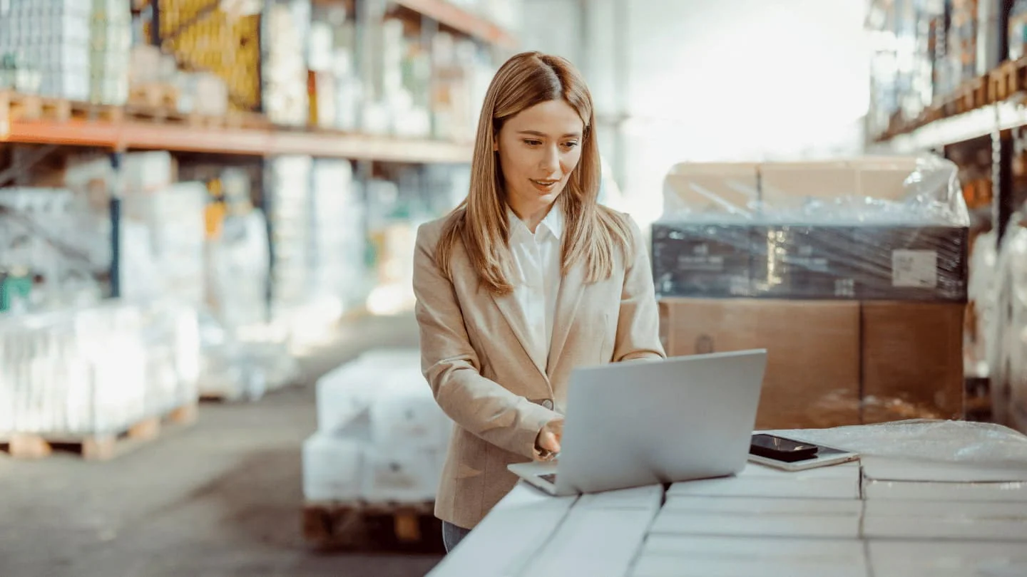 netsuite erp