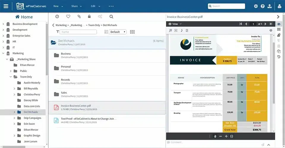 eFileCabinet eFile Cabinet Document Management Software