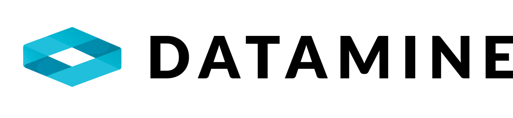 Datamine logo