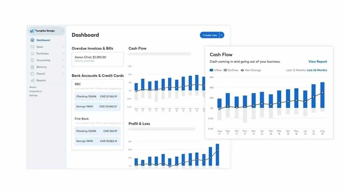 wave accounting dashboard