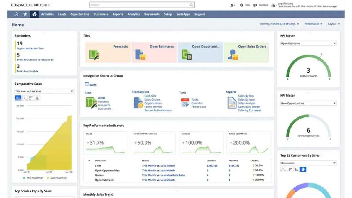 oracle netsuite cloud erp