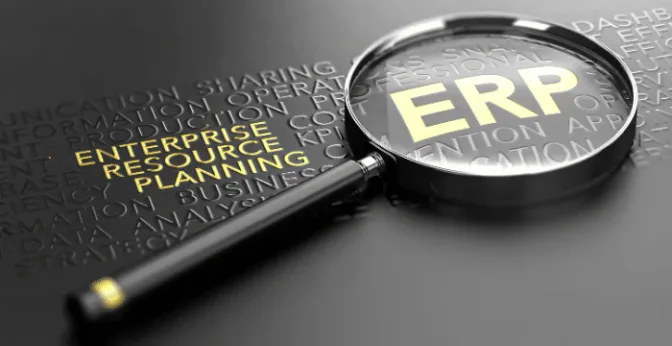 What is Microsoft ERP System?
