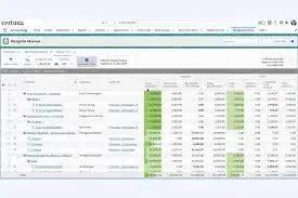 Certinia professional services software dashboard