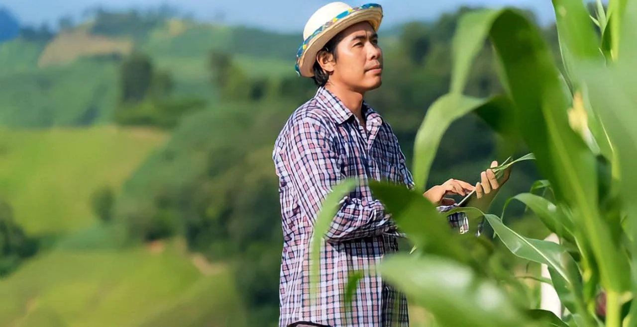 Apa itu Hash Agriculture Solution?