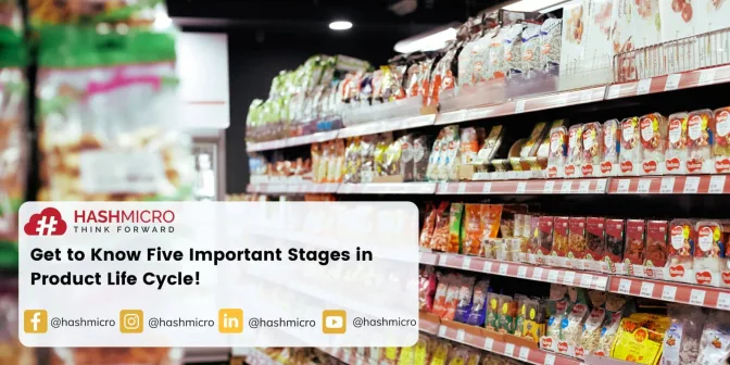 Get to Know Five Important Stages in Product Life Cycle!