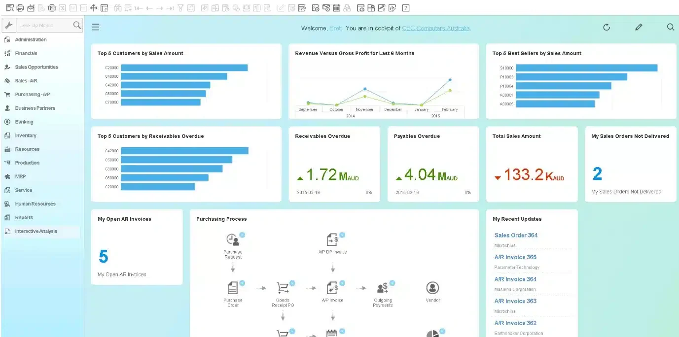 sap business one dashboard.webp