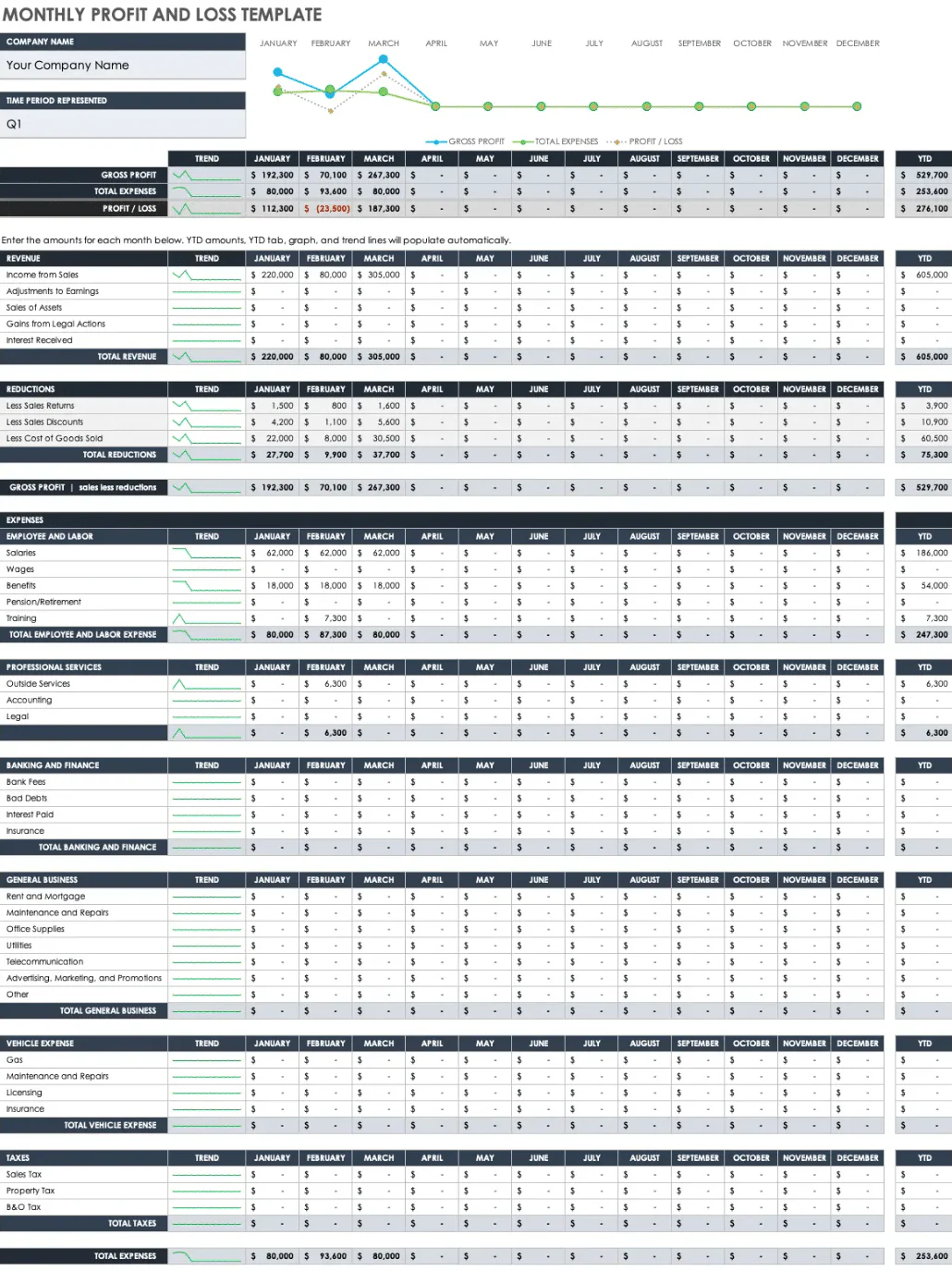 Profit and Loss Statement