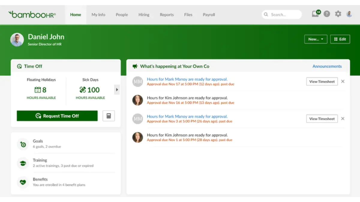 bamboohr performance management tools