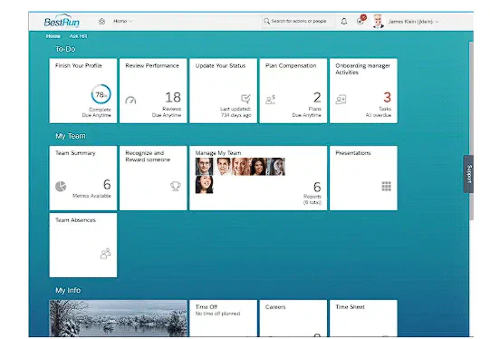 performance management software SAP