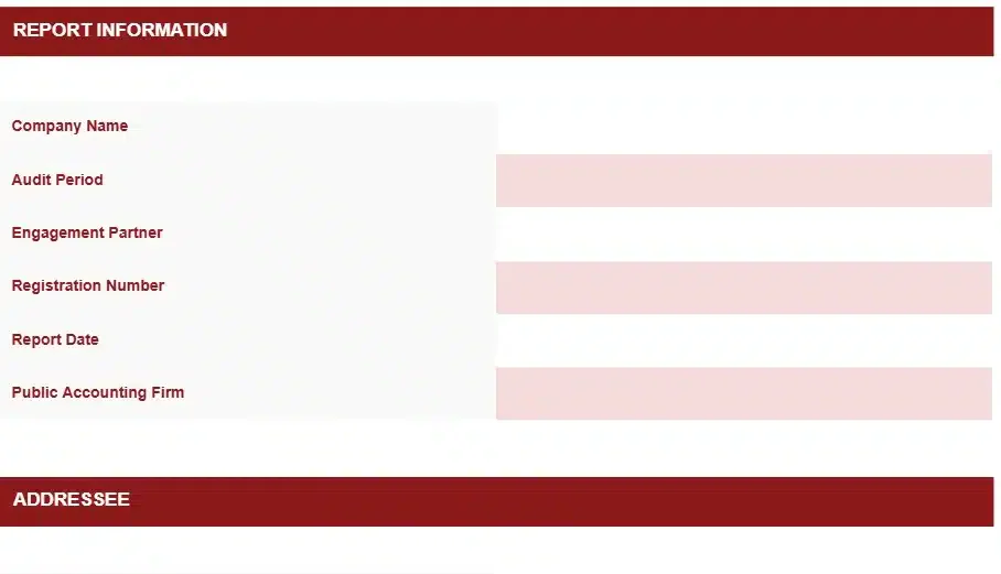 INDEPENDENT AUDITOR REPORT QUALIFIED OPINION TEMPLATE