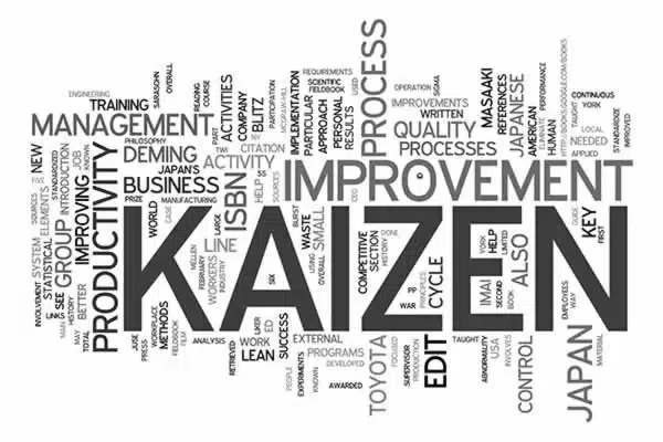 Kaizen Explained: Principles and Practices for Excellence
