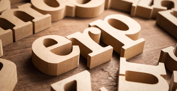 Understanding ERP for Software Development Company