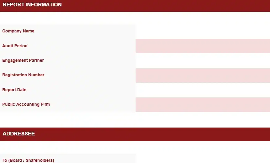 INDEPENDENT AUDITOR REPORT UNQUALIFIED OPINION TEMPLATE