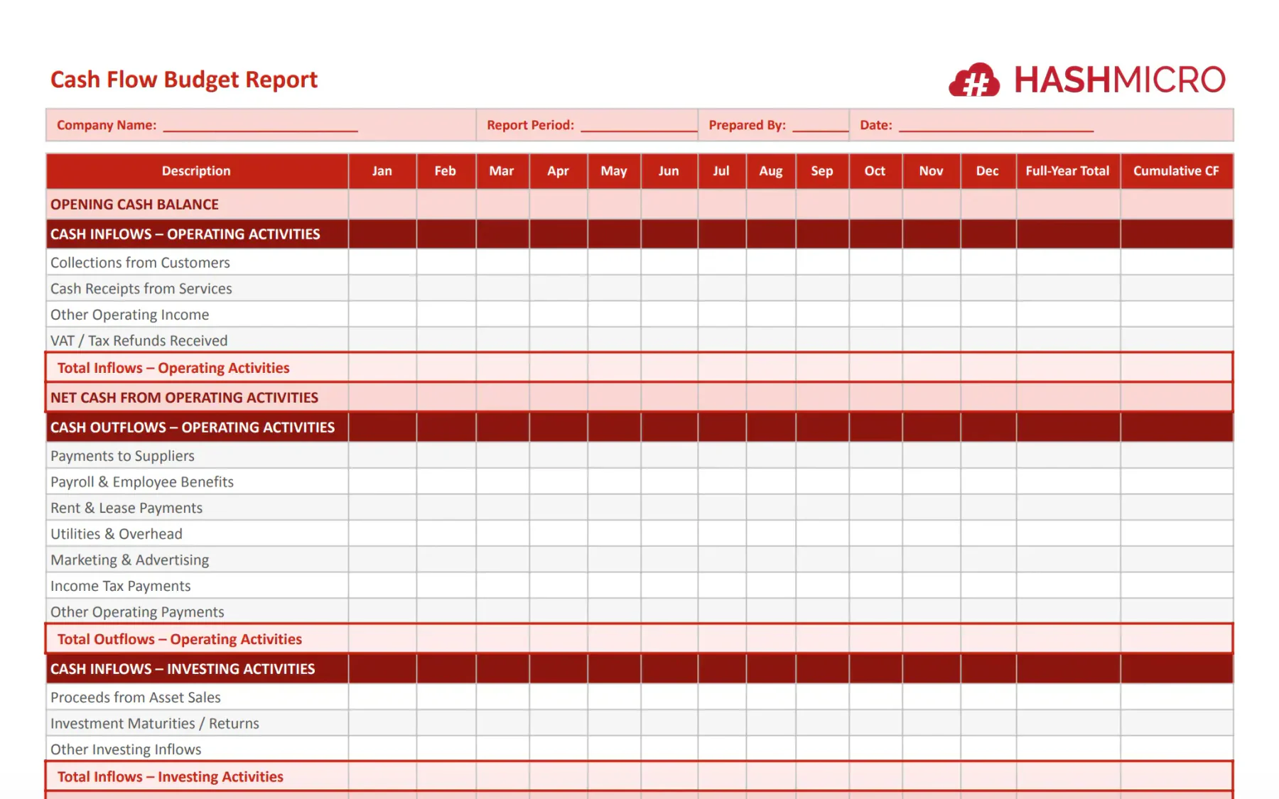 TEMPLATE CAPITAL BUDGET REPORT