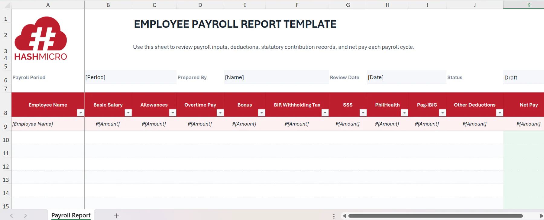 Free downloadable employee payroll report template
