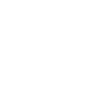 Fleet Management